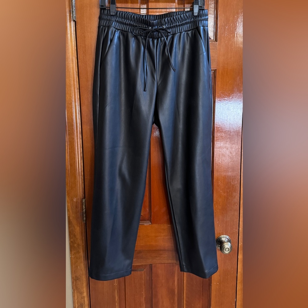 Loft leather pants
